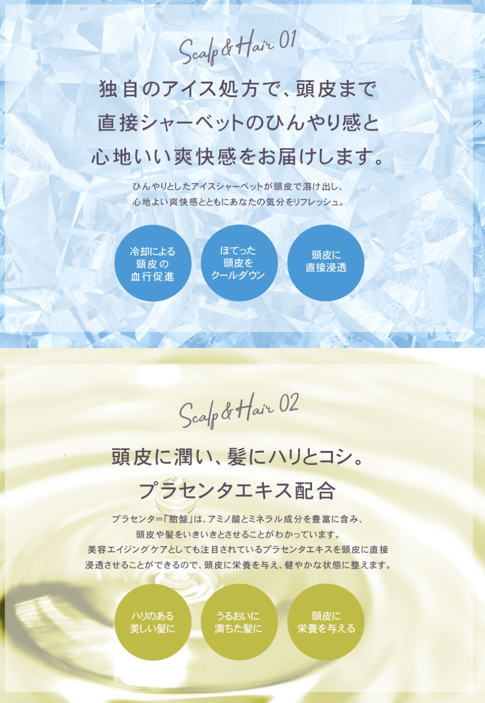 リラックス薬用スキャルプシャーベッツ 270g※8/6~8/12迄に順次発送予定