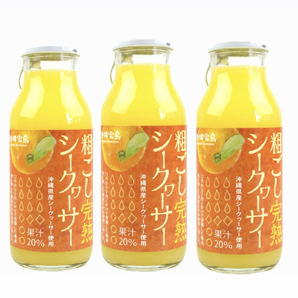 粗ごし完熟シークワーサー 瓶 3本セット ※6/25~7/1順次発送予定