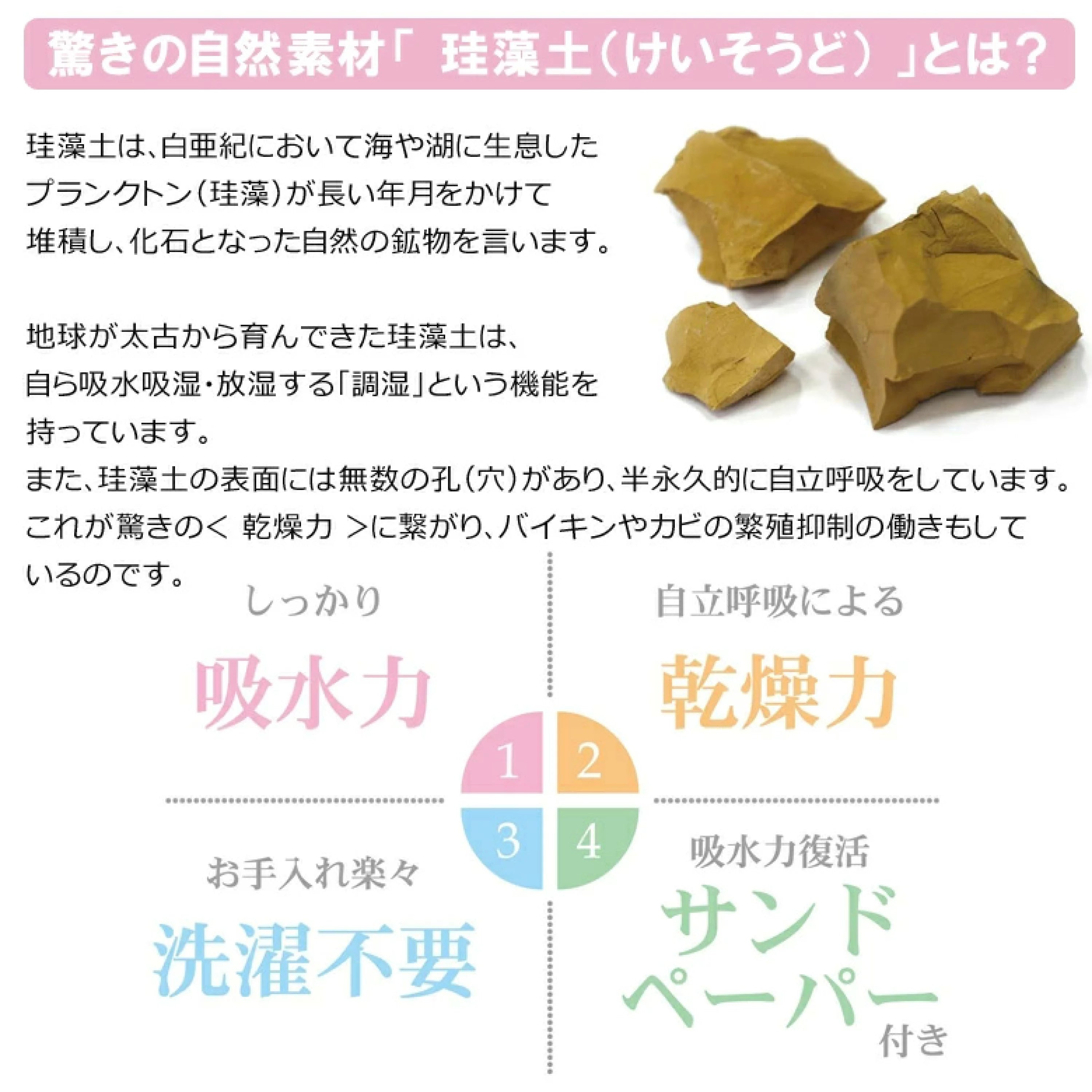 珪藻土コースター2P アリエル柄 *6/18~24順次発送予定