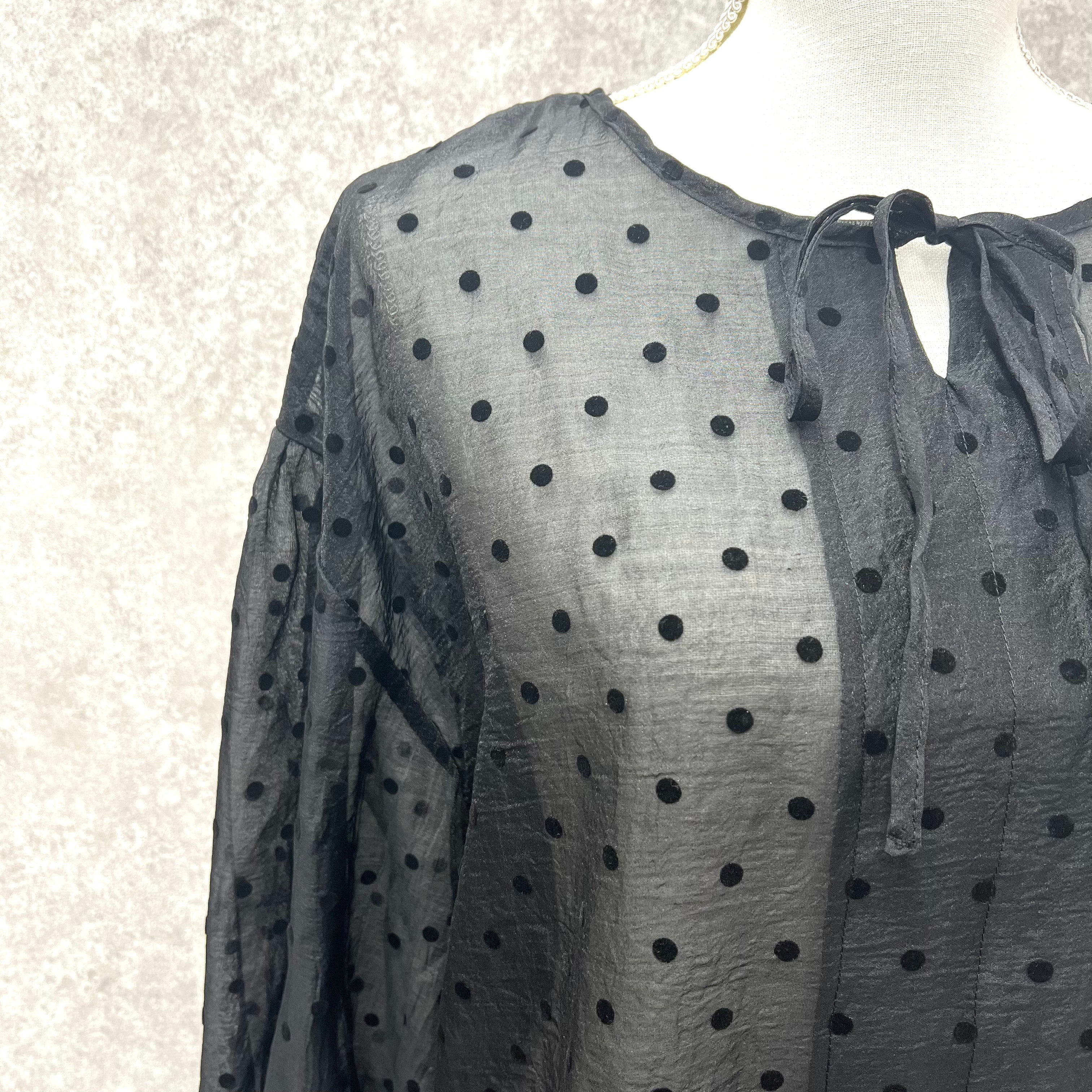 フロッキードットシアーブラウス ブラック ※7/30~8/5より順次発送予定