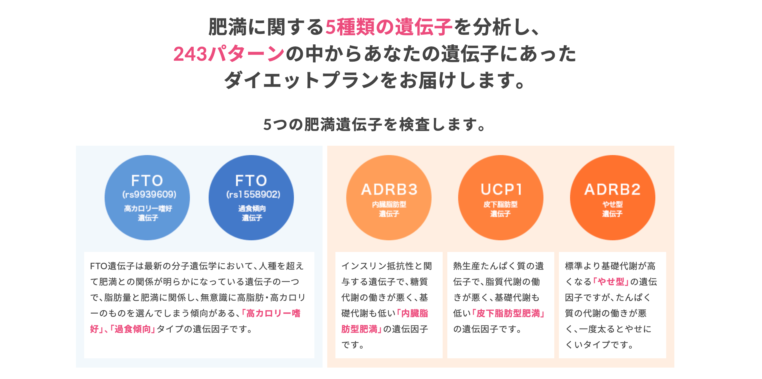 DNA SLIMﾀﾞｲｴｯﾄ遺伝子検査ｷｯﾄ ※9/9～15迄に順次発送予定