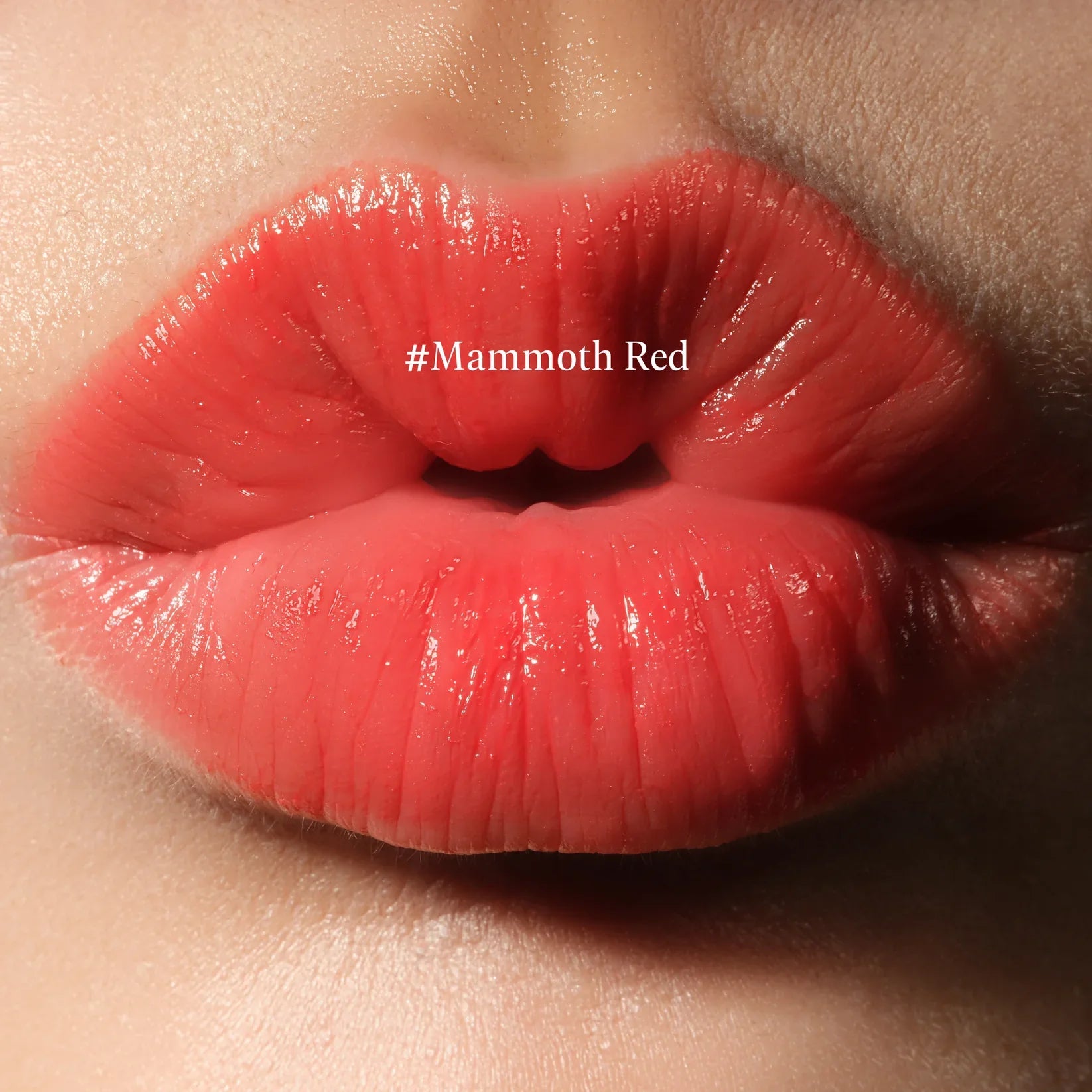 THE LIP Neo Anima #Mammoth Red（ザ リップ ネオ アニマ #マンモス レッド）※3/18~24迄に順次メーカーより発送