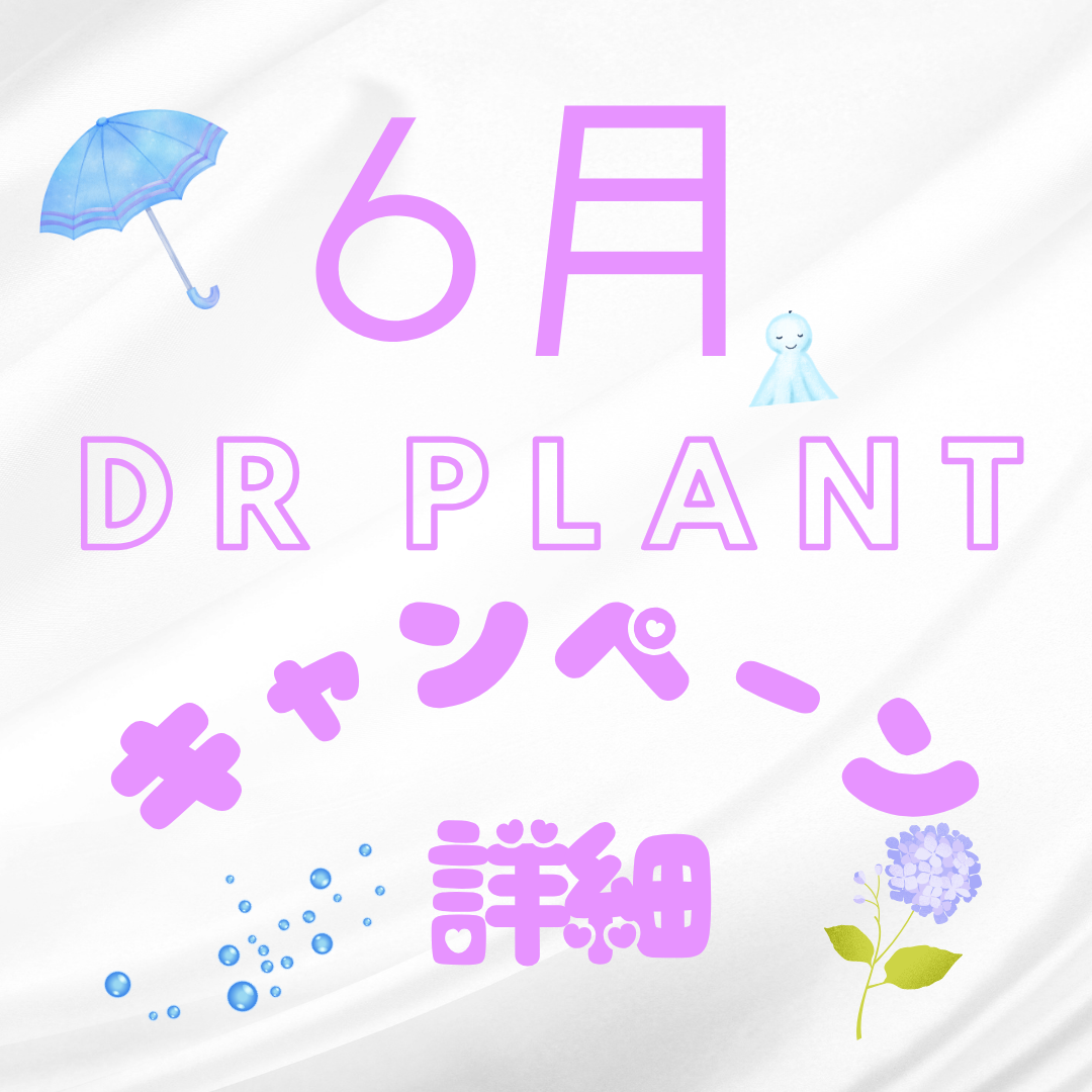 ☂️6月 DR PLANT キャンペーン詳細⭐️