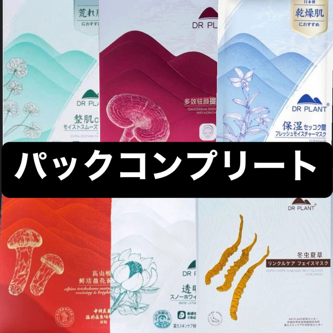 【DR.PLANT】パックコンプリートセット※3/10迄にメーカーから順次発送予定