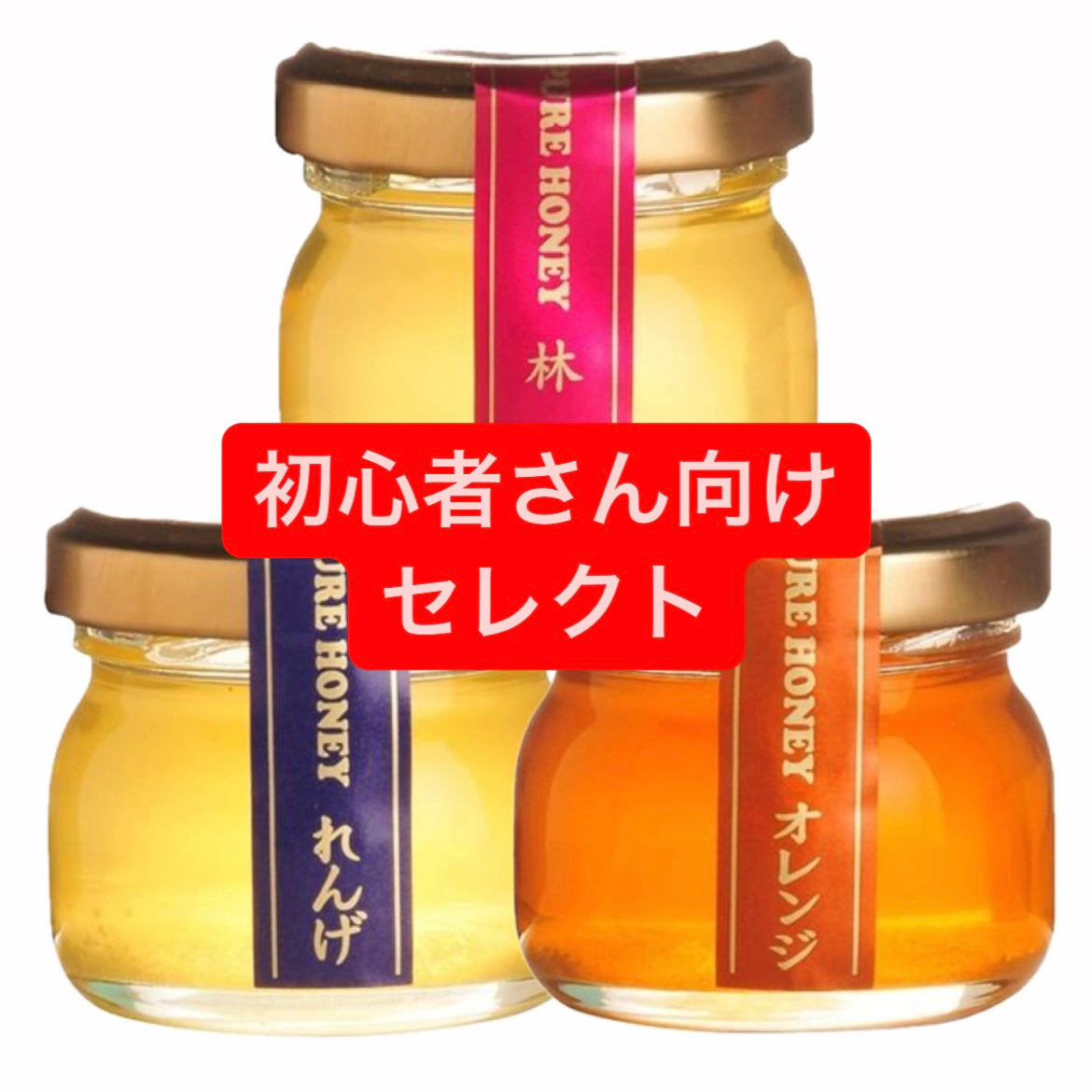 はちみつ初心者さん向けセレクト（れんげ、りんご、オレンジ）※10/15までに順次配送