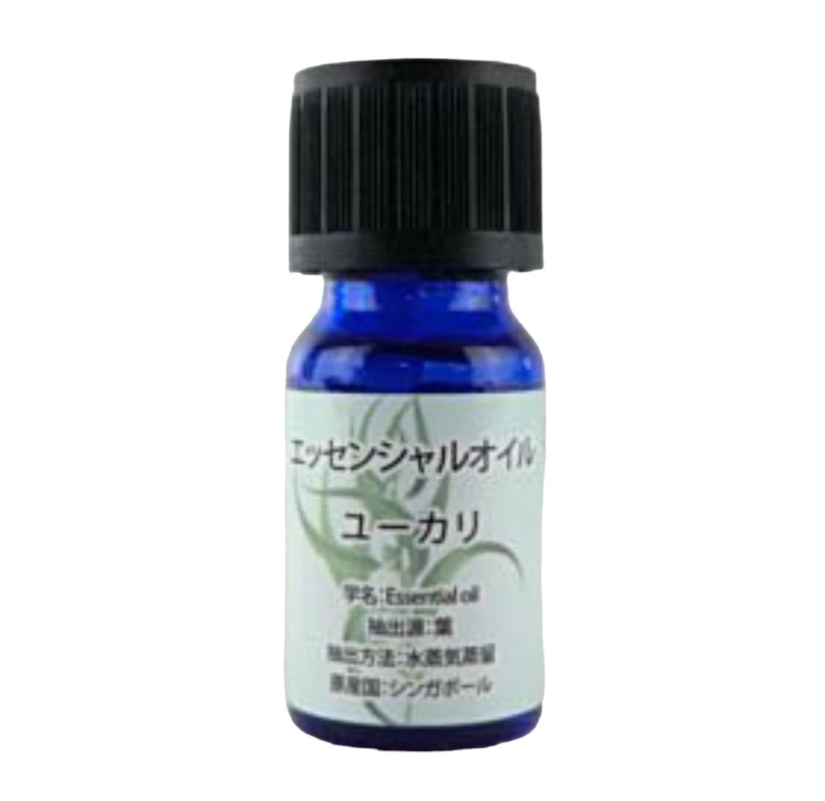 【ユーカリ】エッセンシャルオイル　10ml 　※9/9～15迄に順次発送予定