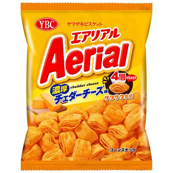 エアリアル  濃厚チェダーチーズ味※7/23～29迄に順次発送予定