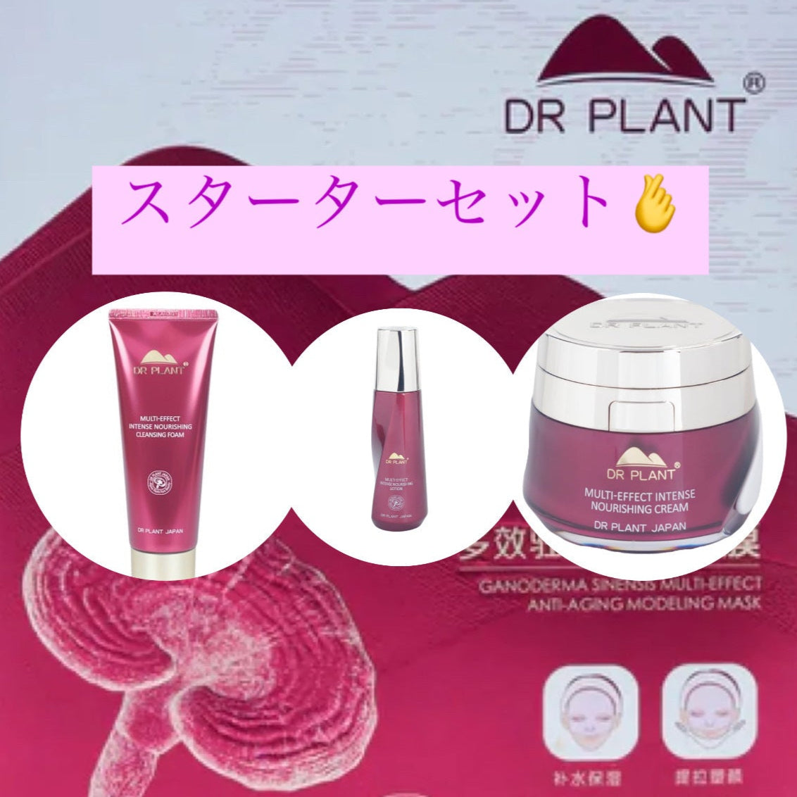 【DR.PLANT】紫レイシスターターセット （洗顔・化粧水・クリーム・マスク1箱）※3/10迄にメーカーから順次発送予定